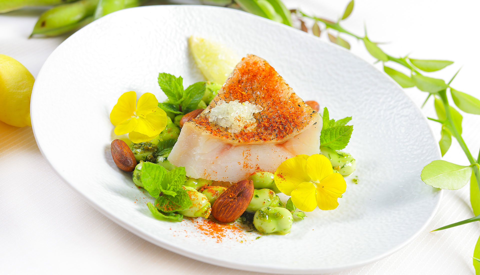 Filet de poisson snacké, fèves, amandes et fleurs comestibles, cuisine gastronomique à Nîmes